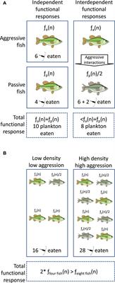 Incorporating neurological and behavioral mechanisms of sociality into predator-prey models